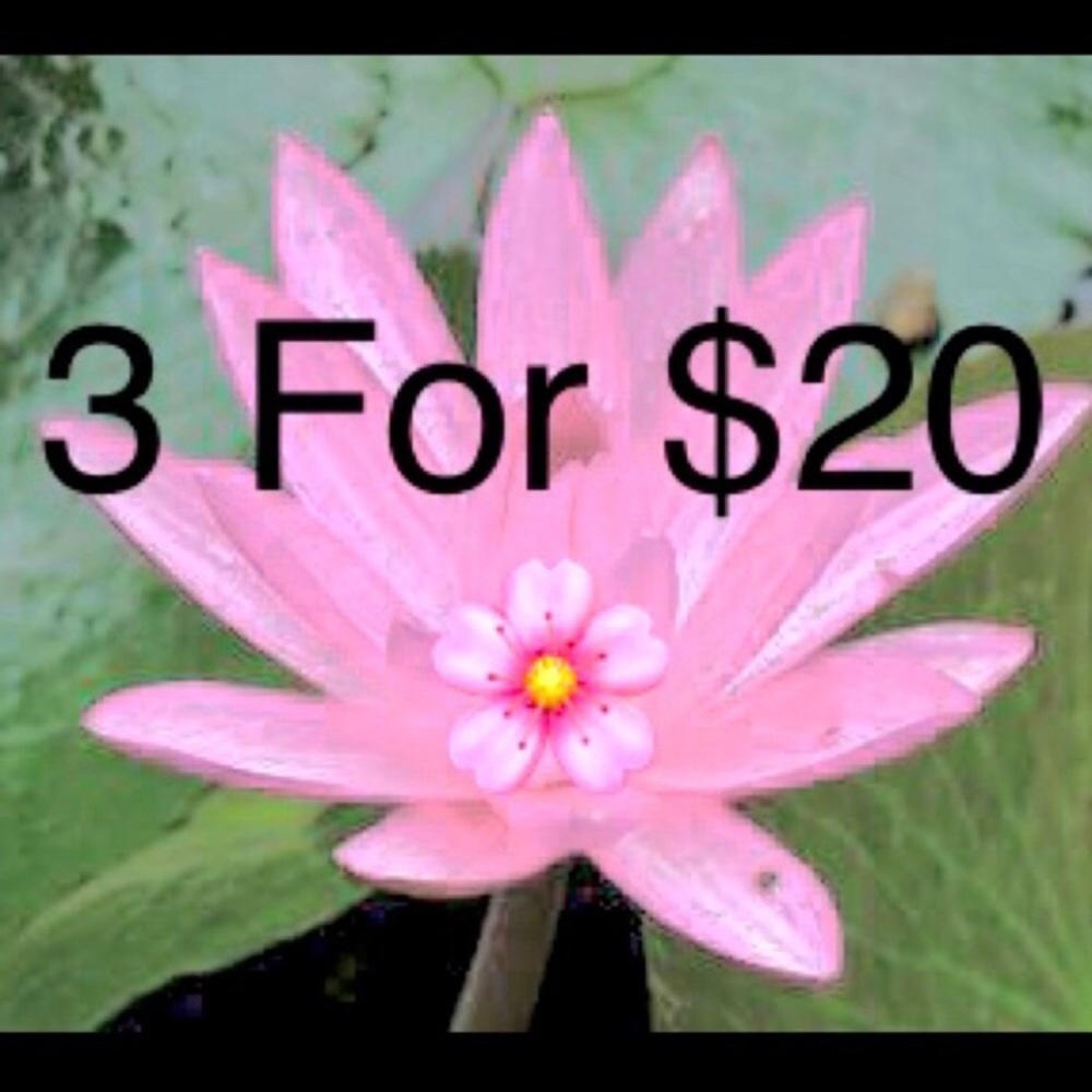 3/$20 SALE! All items listed as 3/$20 included.
